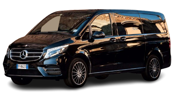 Mercedes Viano - Left