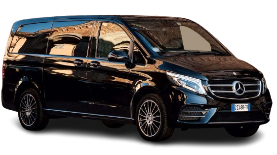 Mercedes Viano - Right